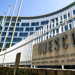 UNESCO’s guidelines on regulating digital platform hurts democracy, digital rights network warns